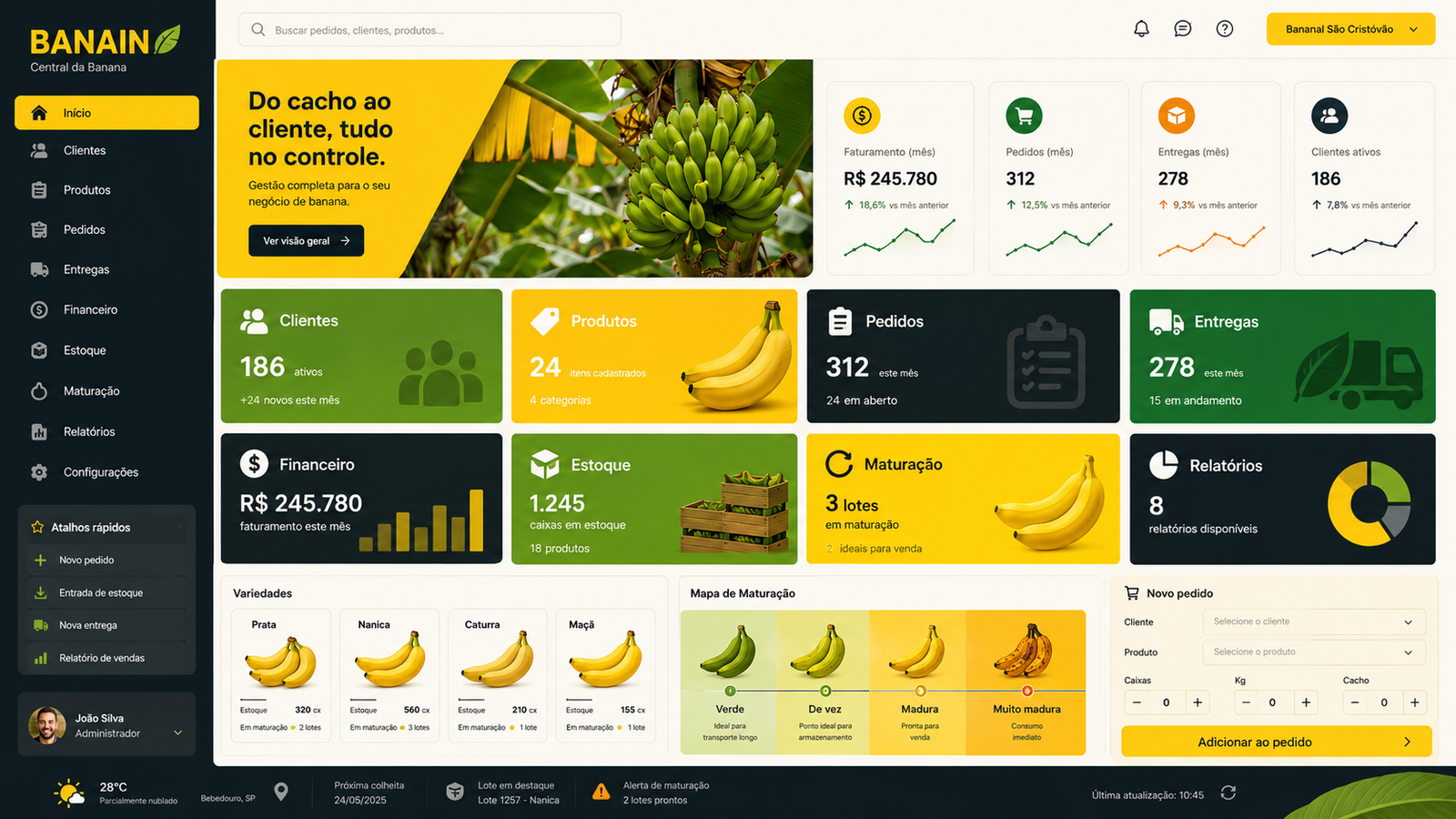 Croqui visual do dashboard BANAIN